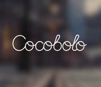 CocoBolo logo & typography.